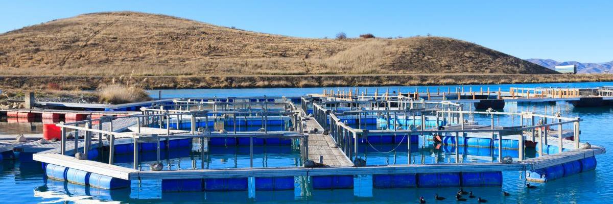 3229947021 3229947021